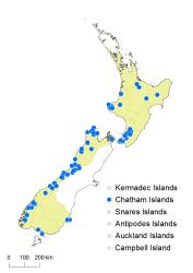Trichomanes colensoi distribution map based on databased records at AK, CHR, OTA and WELT. 
 Image: K. Boardman © Landcare Research 2016 CC BY 3.0 NZ